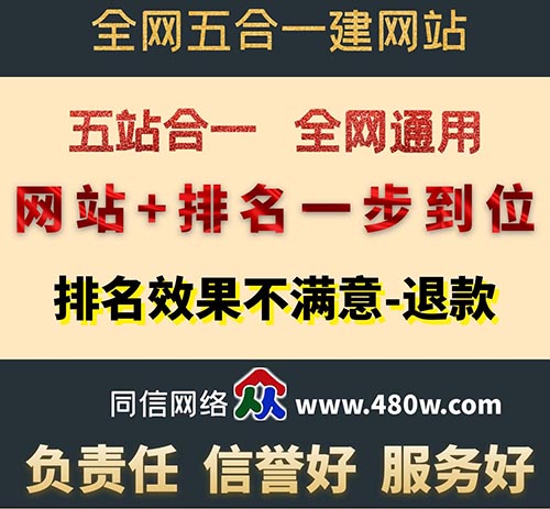 做好營銷性網(wǎng)站建設(shè)后的優(yōu)化技巧有哪些